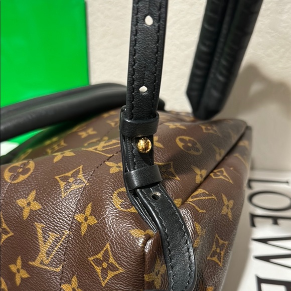 Louis Vuitton Palm Springs Monogram Brown Backpack - Damaged - Picture 5 of 15